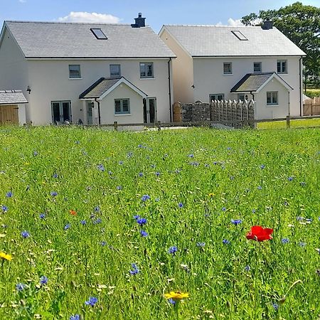 Brecon Beacons Cottage With Stunning Country Views Myddfai Экстерьер фото