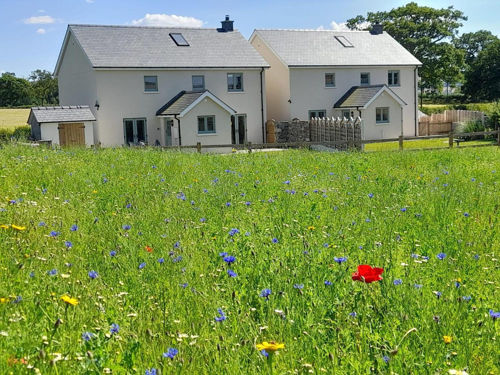 Brecon Beacons Cottage With Stunning Country Views Myddfai Экстерьер фото